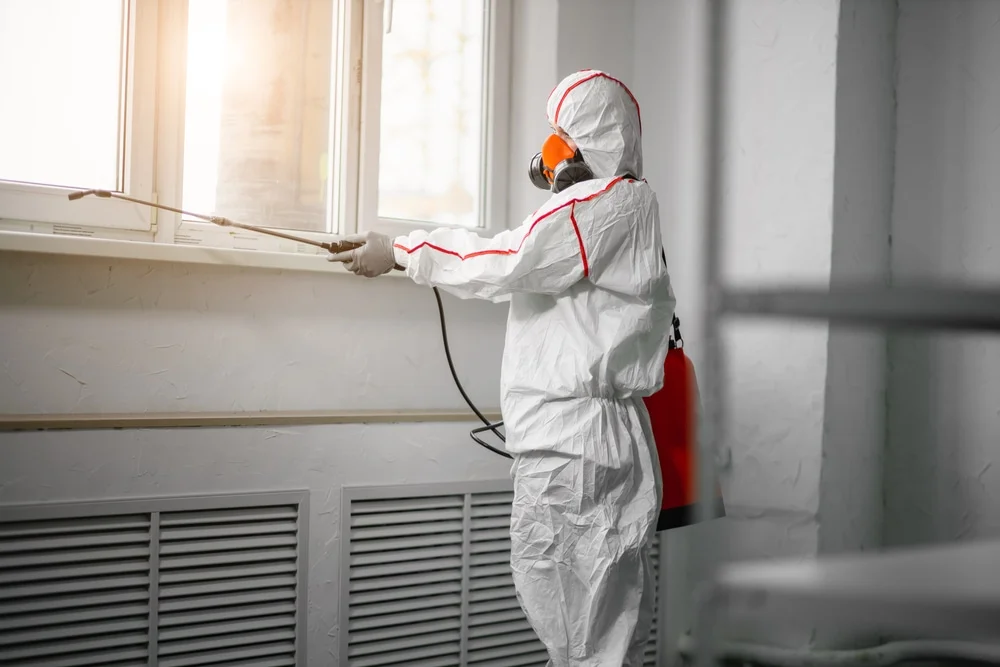 Professional mold remediation services in Mattituck, NY